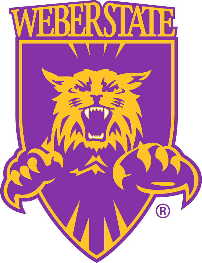 Weber State Wildcats 1996-2012 Primary Logo diy iron on heat transfer